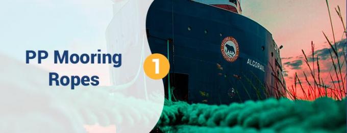 عمده فروشی 220M سفید Polypropylene 8 رشته 68mm طناب لنگر برای کشیدن 0